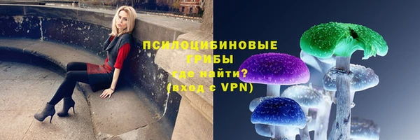мескалин Лабытнанги