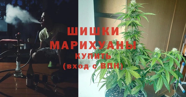 спайс Ладушкин